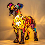 Prachtvoller Boxer